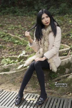 酒井法子av